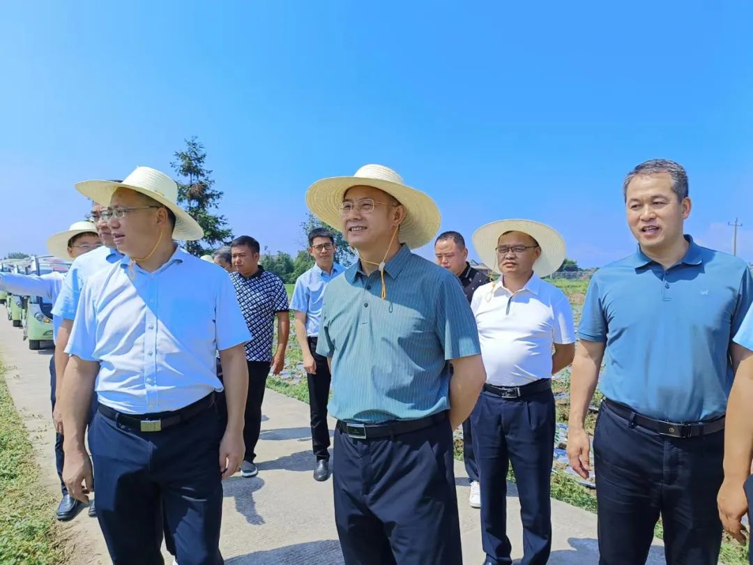 实地调研“田长制”工作、高标准农田区建设.jpg